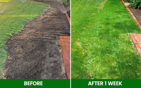 🏆Official Store | 🌟 Give your lawn a new look 🌟AEXZR® Compostable Lawn Grow Mat