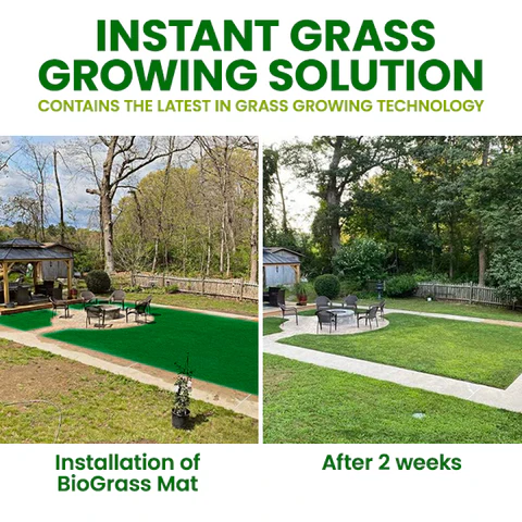 🏆Official Store | 🌟 Give your lawn a new look 🌟AEXZR® Compostable Lawn Grow Mat