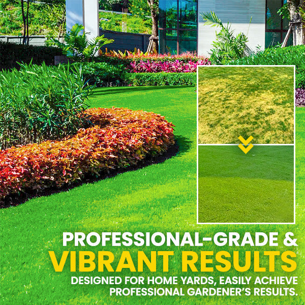 🏆Official Store | 💚Enhance The Natural Beauty Of Your Lawn 💚AEXZR® Green Lawn Grass Sunny Spray