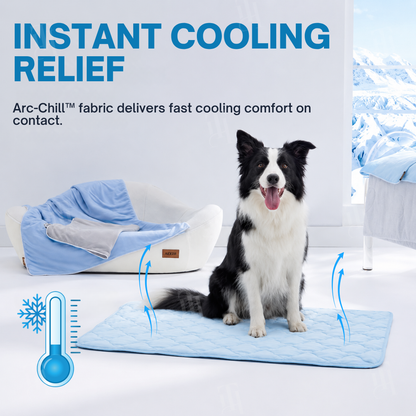 🔥Official Store | AEXZR® Advanced Ortho-Cool Pet Mat | Thermochromic Safe Cooling Pad