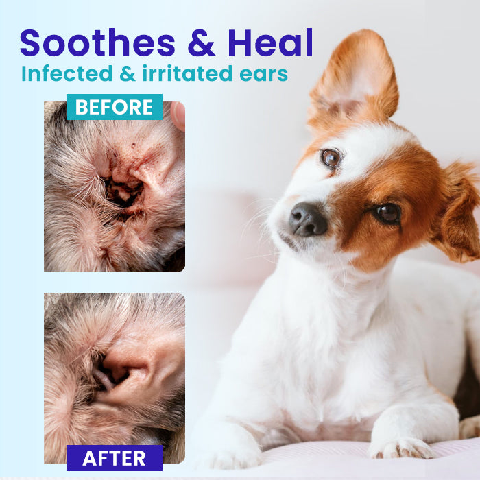 🏷️ EXCLUSIVE DEAL! 68% OFF - Lotmay® Pet EarPro Drops FM+