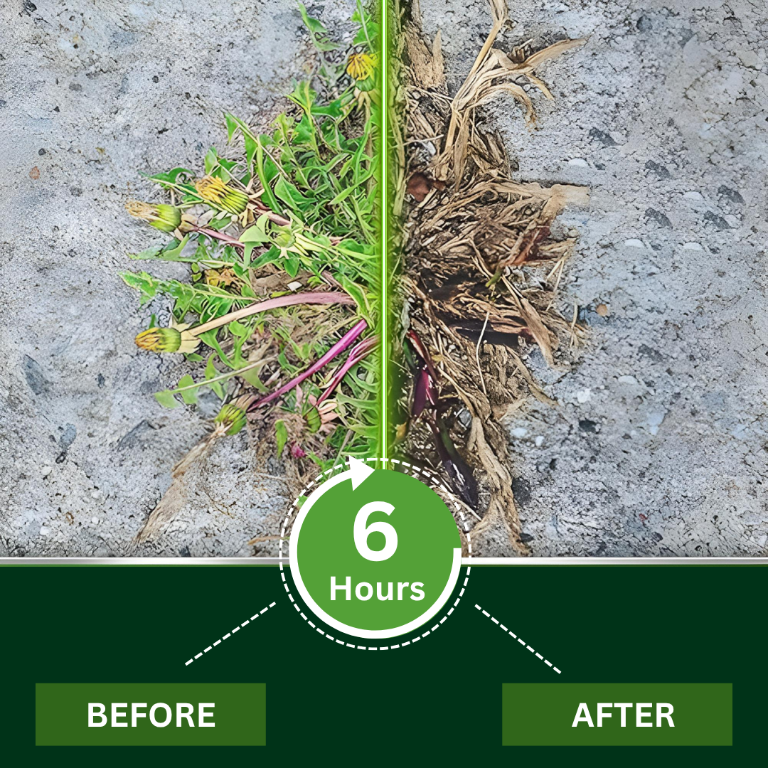 🔥Official Store |🔥 50% OFF TODAY! | AEXZR® 2 in 1 Max Power Herbicide