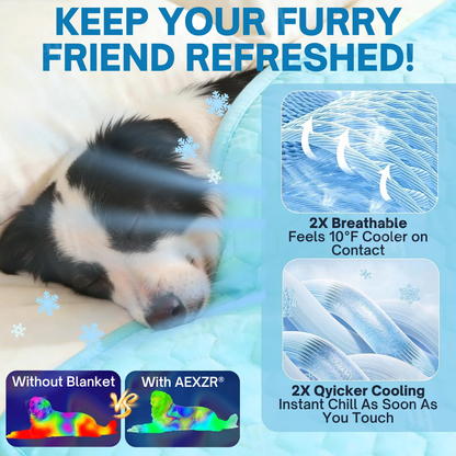 🔥Official Store | AEXZR® Advanced Ortho-Cool Pet Mat | Thermochromic Safe Cooling Pad