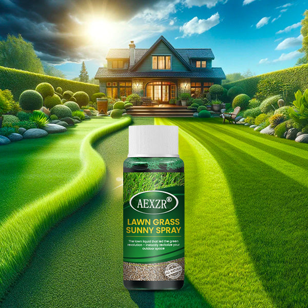 🏆Official Store | 💚Enhance The Natural Beauty Of Your Lawn 💚AEXZR® Green Lawn Grass Sunny Spray