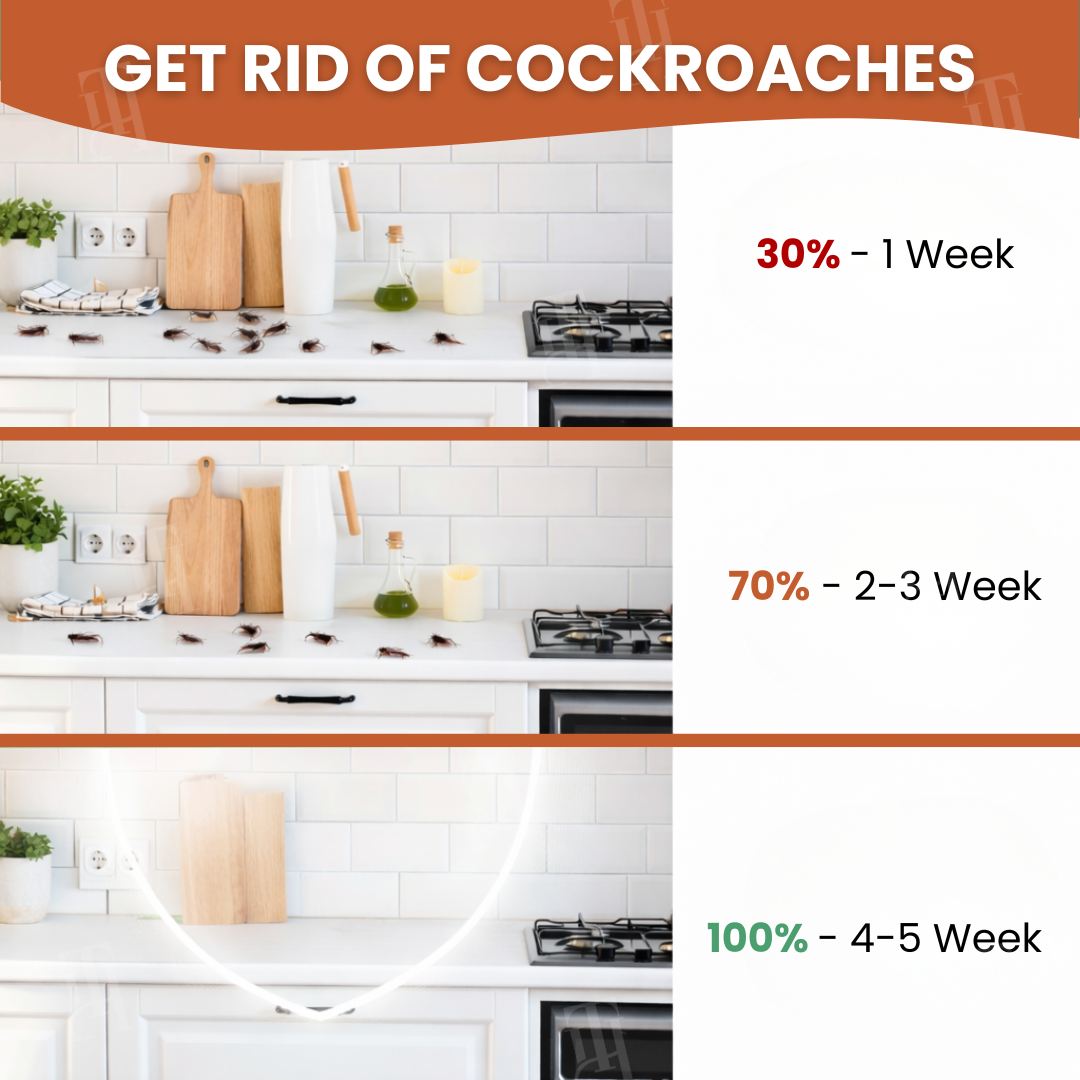 🔥 50% OFF TODAY | AEXZR® RoachBane Gel Bait ⚡Eliminate Roaches in 24 Hours