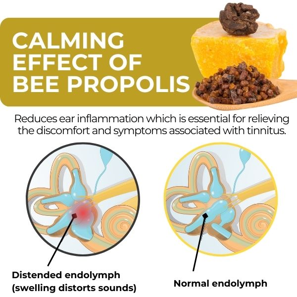 Limited Time Offer  🚨Cvreoz® Propolis Tinnitus Spray – Only 50 in stock available! Act Fast!