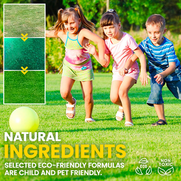 🏆Official Store | 💚Enhance The Natural Beauty Of Your Lawn 💚AEXZR® Green Lawn Grass Sunny Spray