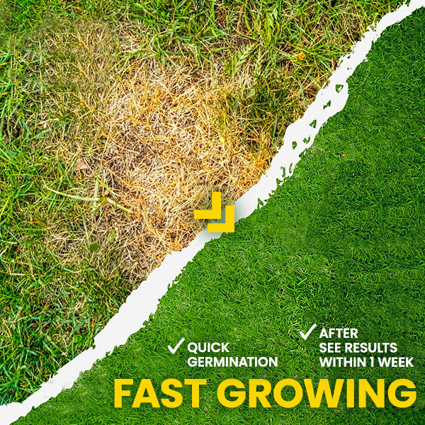 🏆Official Store | 💚Enhance The Natural Beauty Of Your Lawn 💚AEXZR® Green Lawn Grass Sunny Spray