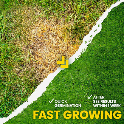 🏆Official Store | 💚Enhance The Natural Beauty Of Your Lawn 💚AEXZR® Green Lawn Grass Sunny Spray